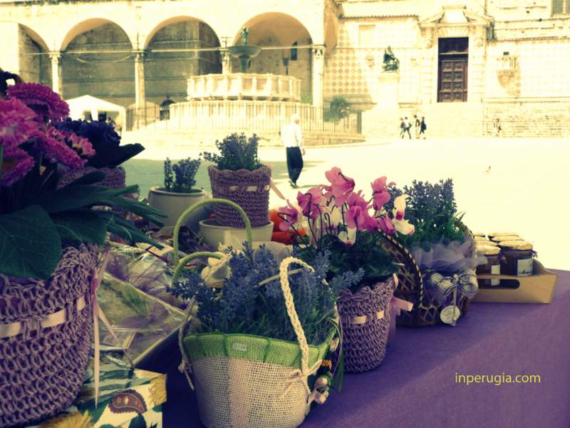 Perugia on May 31 – Floralia – Flowers Festival